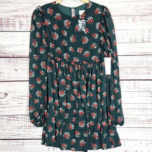 Aura Party Dress Green Red Floral Long Sleeve Lined Ruffle Whimsy Fairy NWT